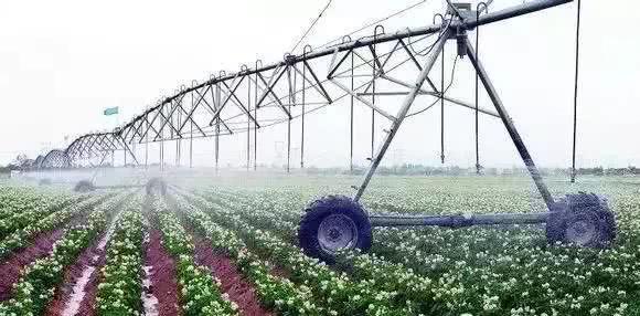 以色列農(nóng)業(yè)技術(shù)開發(fā) 如何實(shí)現(xiàn)'一分耕耘，十分收獲'